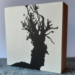 Edith Brouwer - Boom Chatel