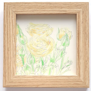 Linda Rusconi - Ranonkels