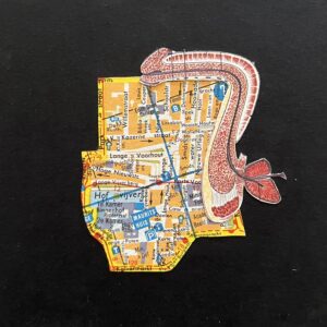 Ro-Nalt Schrauwen - Organic Cityplanning Den Haag