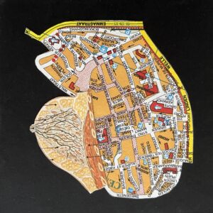 Ro-Nalt Schrauwen - Organic Cityplanning Utrecht