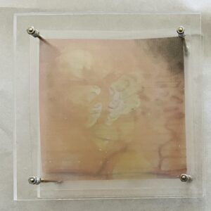 Ro-Nalt Schrauwen - Lichaamseigen III