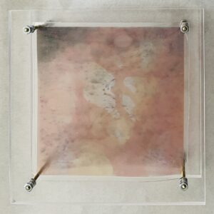 Ro-Nalt Schrauwen - Lichaamseigen IV