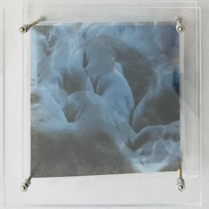 Ro-Nalt Schrauwen - Lichaamseigen V