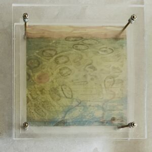 Ro-Nalt Schrauwen - Lichaamseigen VI